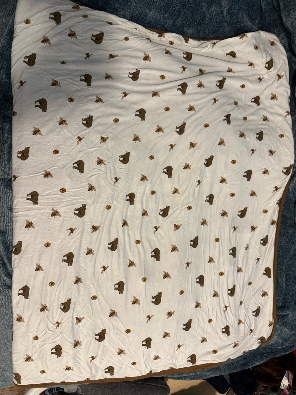 Kyte baby honey bear toddler blanket